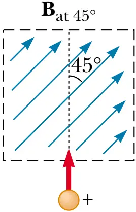 A positive charge enter a uniform magnetic force at angle 45 degrees.