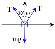 Free-bosy diagram for a block supporting by two identical ropes