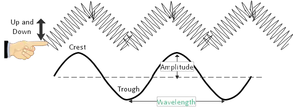 Fromation of transverse wave Set up a transverse wave