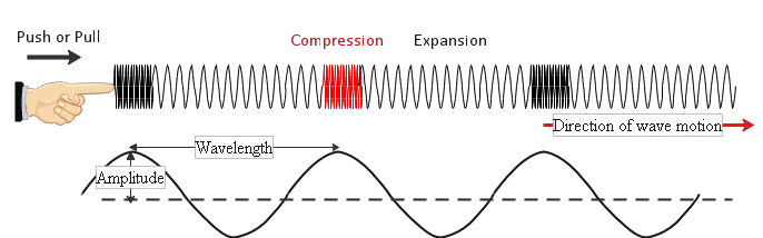 difference-between-transverse-and-longitudinal-wave