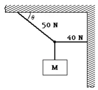A block of mass M hangs in equilibrium.
