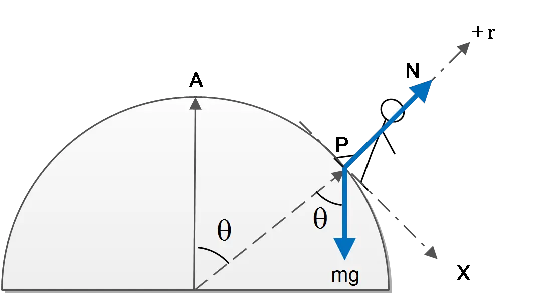 Two forces are shown, weight and the normal force