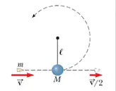 A bullet of mass m and speed v passes completely through a pendulum bob of mass M.